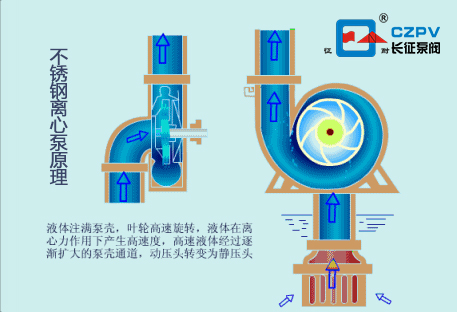 不銹鋼離心泵的工作原理圖