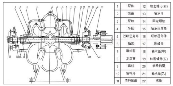 立式雙吸泵結(jié)構(gòu)示意圖
