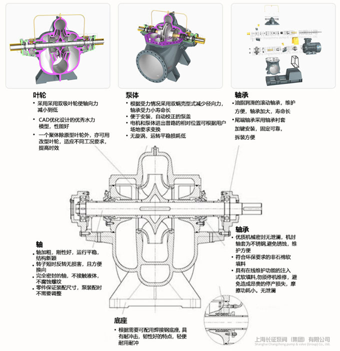 雙吸離心泵結(jié)構(gòu)圖